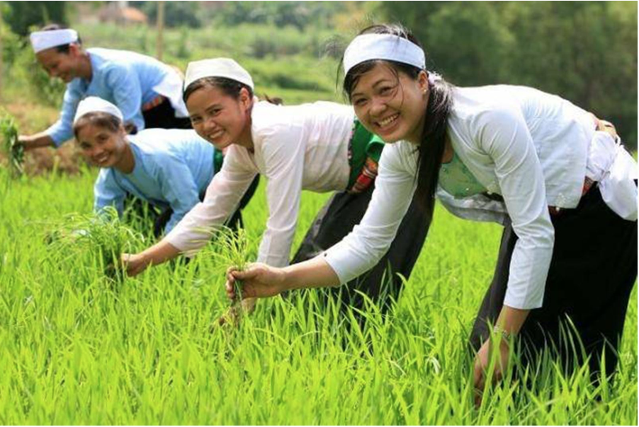 Climate Justice as Healing: Decolonizing Care in the Context of Ecological Crisis